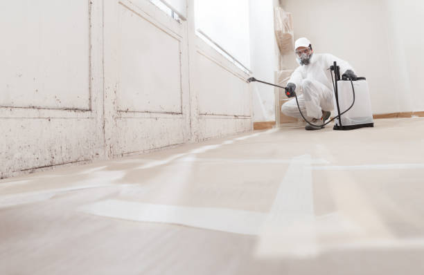 24/7 Emergency Mold Remediation experts in Jonestown, PA
