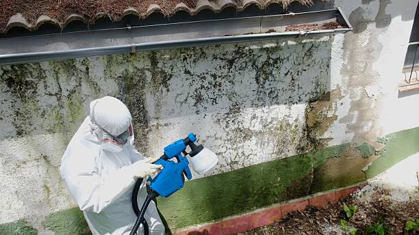Top rated local Mold Remediation specialists in Jonestown, PA